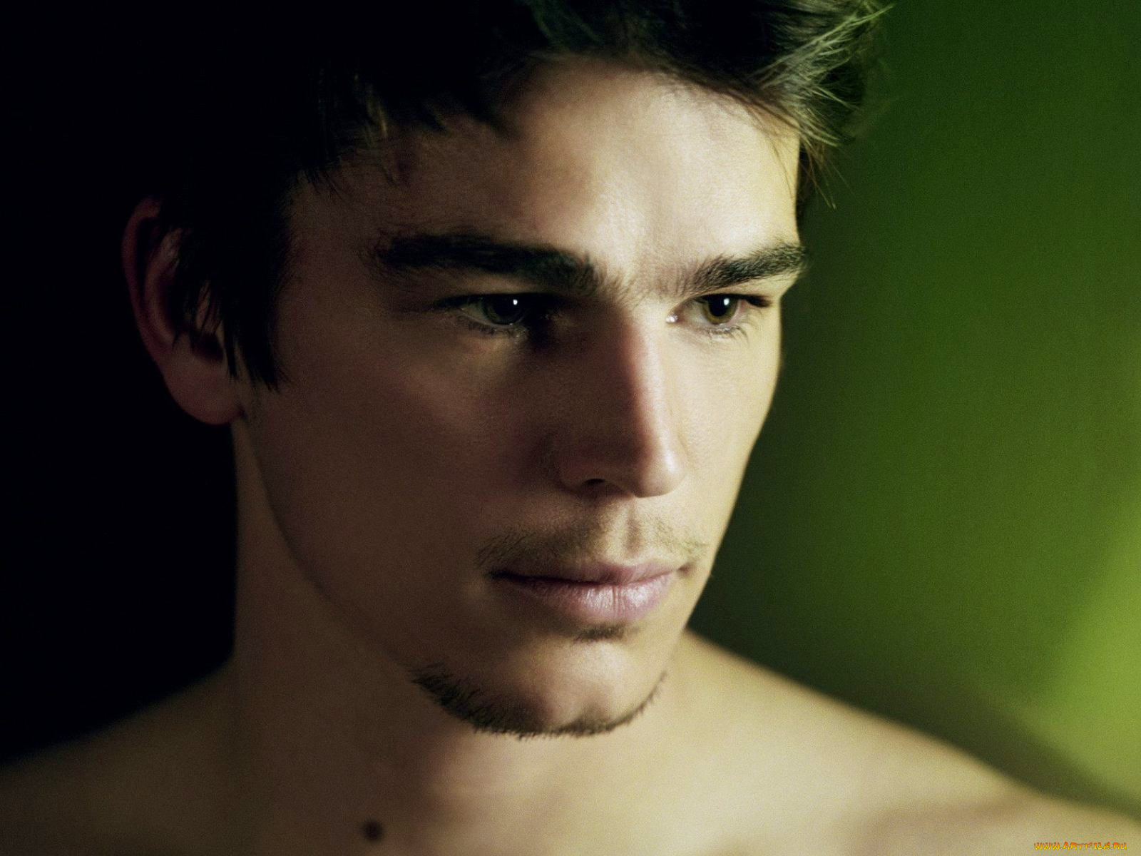 josh, hartnett, 